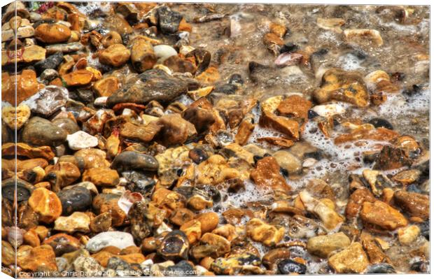 Pebbles and stones on the beach Canvas Print by Chris Day