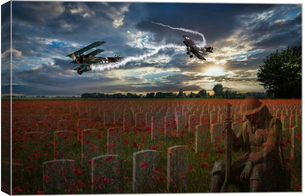 In Flanders Fields the Poppies Blow Canvas Print by David Tyrer