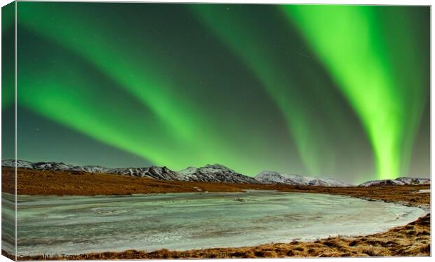 THE NORTHERN LIGHTS AT MIDNIGHT - ICELAND Canvas Print by Tony Sharp LRPS CPAGB