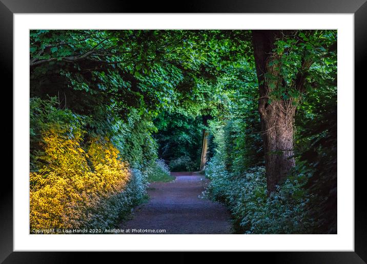 Gilded Country Lane 2 Framed Mounted Print by Lisa Hands