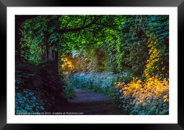 Gilded Country Lane 3 Framed Mounted Print by Lisa Hands