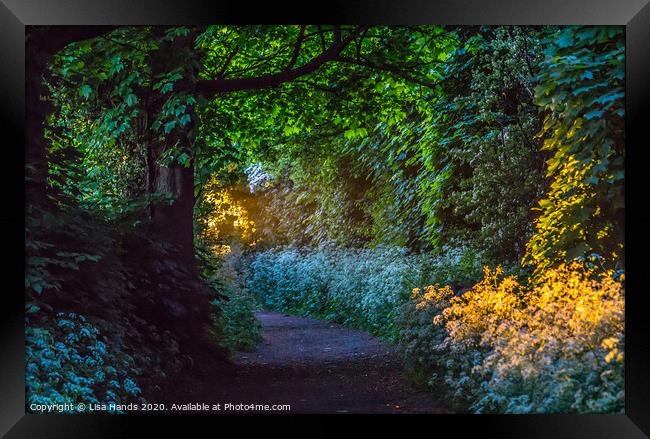 Gilded Country Lane 3 Framed Print by Lisa Hands