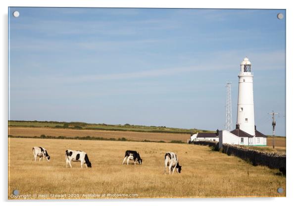 Nash Point Lighthouse  Acrylic by Heidi Stewart