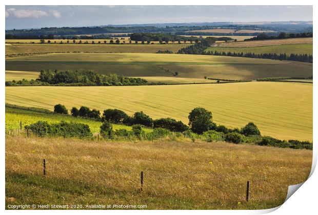 South Downs in Hampshire Print by Heidi Stewart
