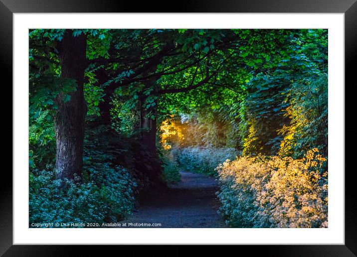 Gilded Country Lane 4 Framed Mounted Print by Lisa Hands