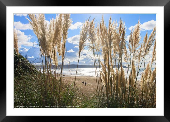Grasses on Woolacombe Beach Framed Mounted Print by David Morton