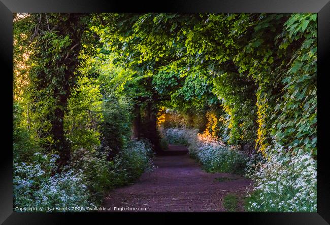 Light at the end of the tunnel Framed Print by Lisa Hands