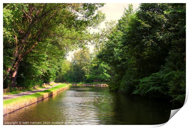 leeds and liverpool canal Print by keith hannant