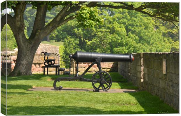 Historic cannon on coastline in Berwick  Canvas Print by Andrew Heaps