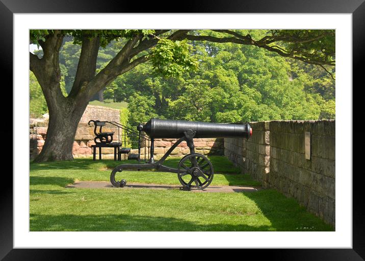 Historic cannon on coastline in Berwick  Framed Mounted Print by Andrew Heaps