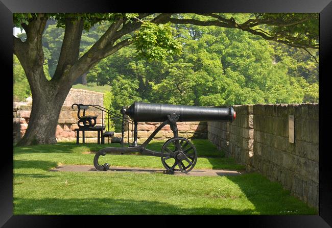 Historic cannon on coastline in Berwick  Framed Print by Andrew Heaps