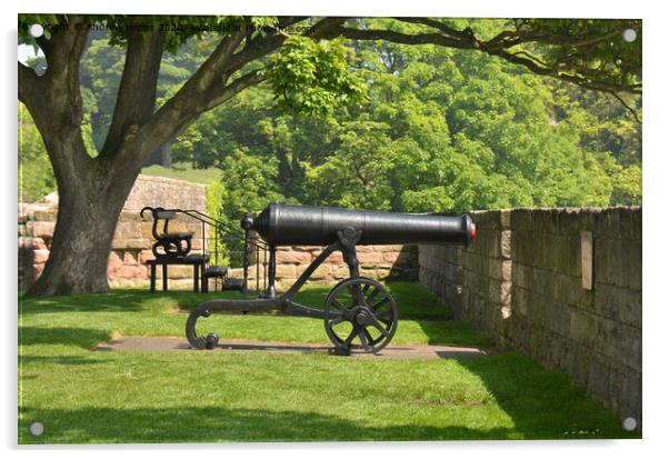 Historic cannon on coastline in Berwick  Acrylic by Andrew Heaps