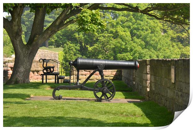 Historic cannon on coastline in Berwick  Print by Andrew Heaps