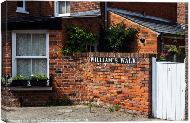 William's walk Colchester Canvas Print by Efraim Gal