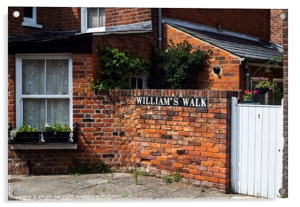 William's walk Colchester Acrylic by Efraim Gal