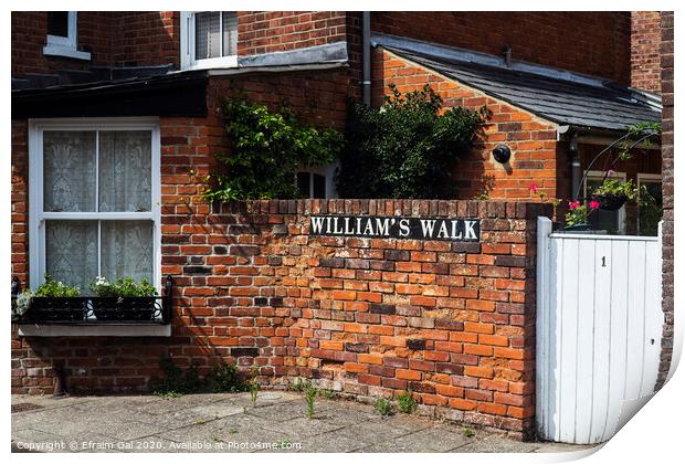 William's walk Colchester Print by Efraim Gal