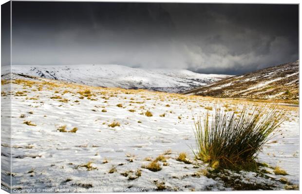 Brecon Beacons in Winter Time Canvas Print by Heidi Stewart