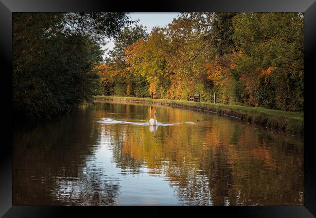 Autumn Colours on the Shropshire Union canal Framed Print by Wendy Williams CPAGB