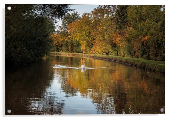 Autumn Colours on the Shropshire Union canal Acrylic by Wendy Williams CPAGB
