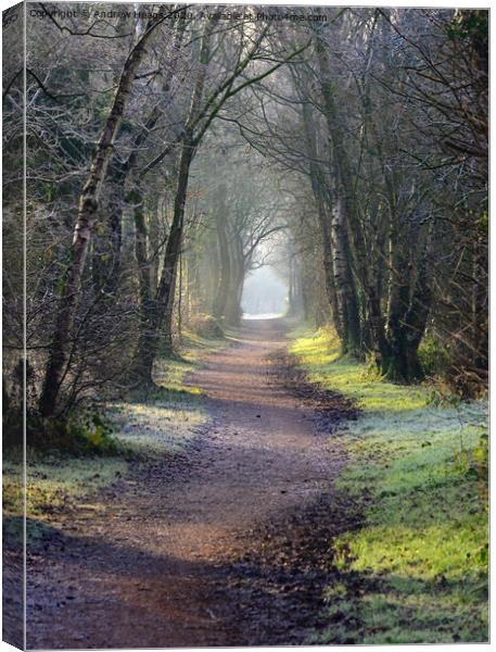 Spooky/misty disused railway line in autumn Canvas Print by Andrew Heaps