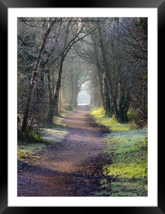 Spooky/misty disused railway line in autumn Framed Mounted Print by Andrew Heaps