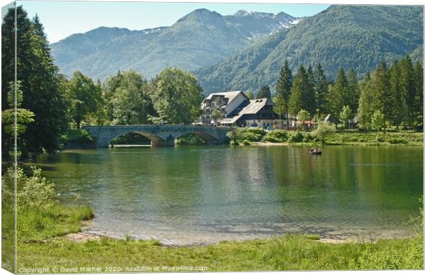 Lakeland in Slovenia Canvas Print by David Mather
