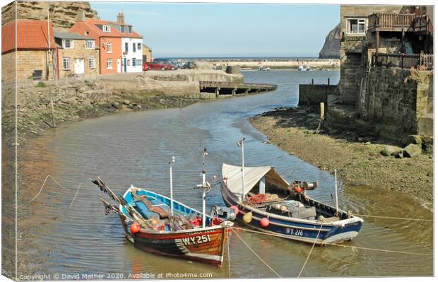 Staithes harbour, North Yorkshire Canvas Print by David Mather