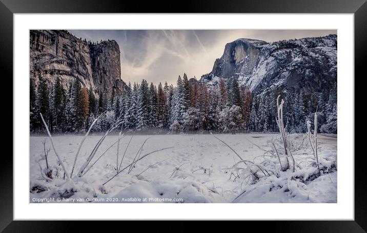Half Dome in Yosemite in snow Framed Mounted Print by harry van Gorkum