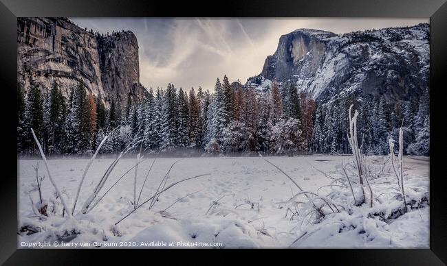 Half Dome in Yosemite in snow Framed Print by harry van Gorkum