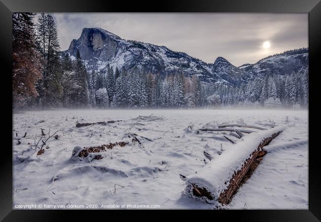 Half Dome in Yosemite in snow with fall trees in t Framed Print by harry van Gorkum