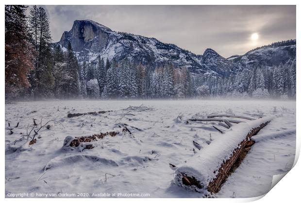 Half Dome in Yosemite in snow with fall trees in t Print by harry van Gorkum