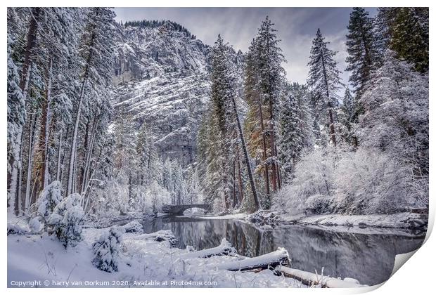 Snow covered trees and bridge over Merced River Yo Print by harry van Gorkum