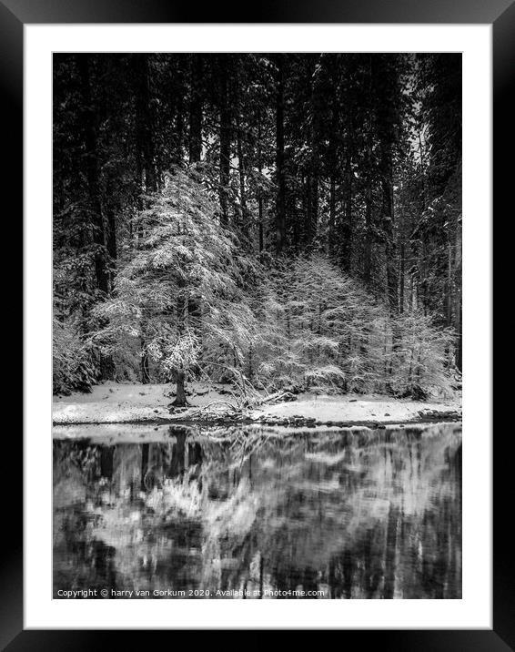 Snow covered tree reflected in Merced River Framed Mounted Print by harry van Gorkum