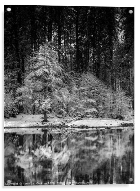 Snow covered tree reflected in Merced River Acrylic by harry van Gorkum