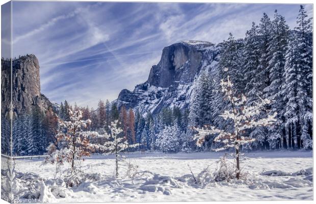 Half Dome in Yosemite in snow with fall trees in t Canvas Print by harry van Gorkum