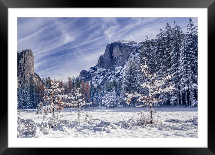 Half Dome in Yosemite in snow with fall trees in t Framed Mounted Print by harry van Gorkum