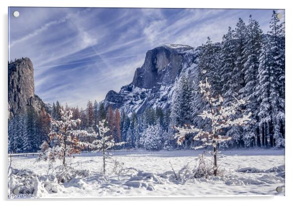 Half Dome in Yosemite in snow with fall trees in t Acrylic by harry van Gorkum
