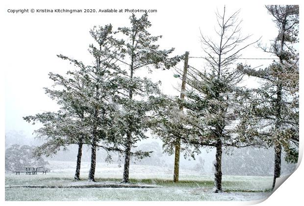 Snow Trees Print by Kristina Kitchingman