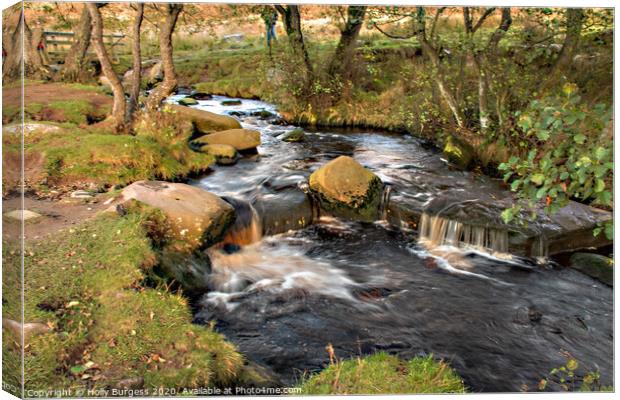 PADLEY GORGE Canvas Print by Holly Burgess