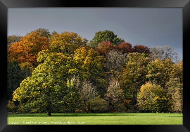Autumn Colours Framed Print by Neil Holman