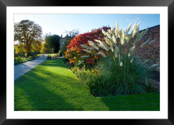 Cannon Hall in the Autumn Sun Framed Mounted Print by Alison Chambers