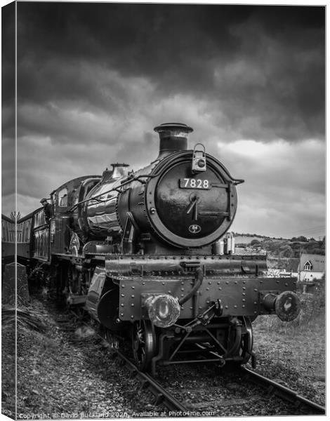 West Somerset Line Canvas Print by David Buckland