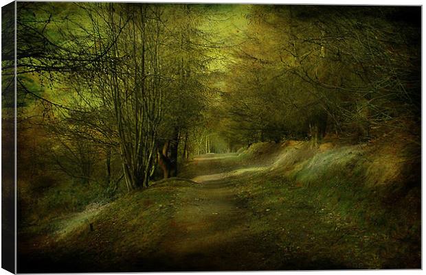 The Coppice. Canvas Print by Irene Burdell