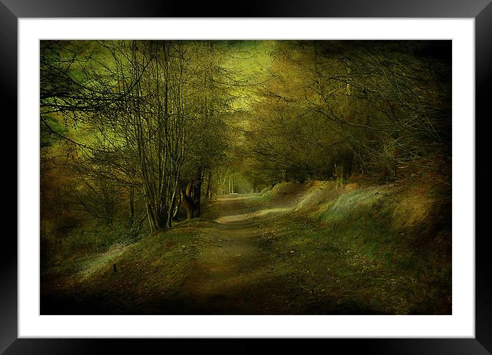 The Coppice. Framed Mounted Print by Irene Burdell