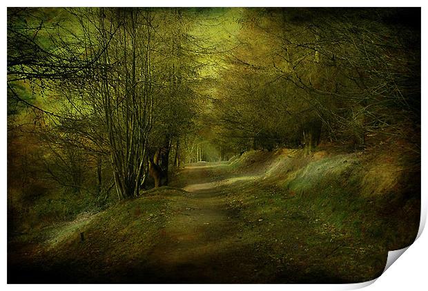 The Coppice. Print by Irene Burdell