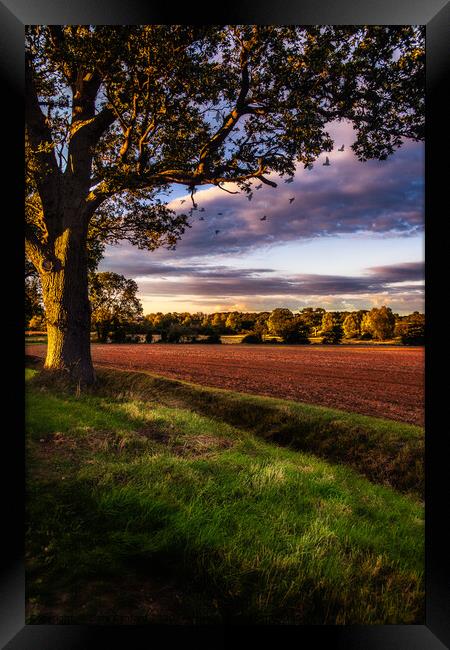 Suffolk Rural Sunset near Harkstead Framed Print by Gary Sanford