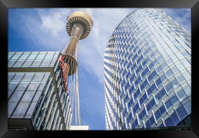 The Sydney Tower Framed Print by Pete Evans