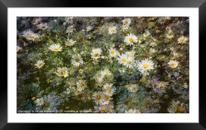 Dreaming Daisies Framed Mounted Print by James Rowland