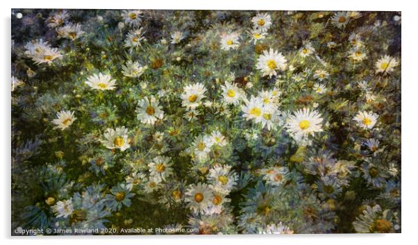 Dreaming Daisies Acrylic by James Rowland