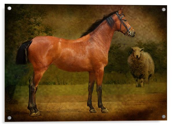 The Race Horse Acrylic by Irene Burdell